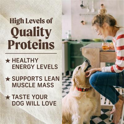 Lil’ Plates Dinner Duos Teeny Texas Steak Tips Dinner & Tiny Thanksgiving Day Dinner Variety Pack Grain-Free Wet Dog Food, 3.5-oz tub, case of 12