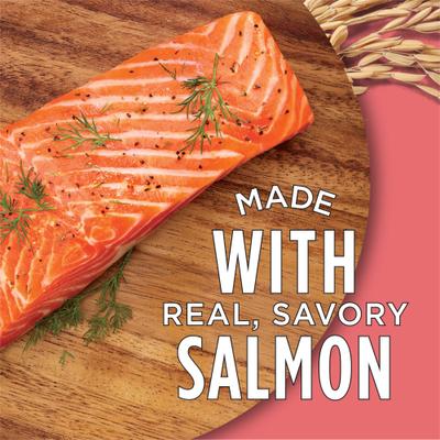 Purina Cat Chow Complete High Protein with Real Salmon Dry Cat Food, 15-lb bag