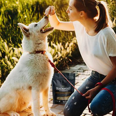 Single Ingredient 100% Chicken Breast Grain-Free Adult Freeze-Dried Dog Treats, 3-oz bag