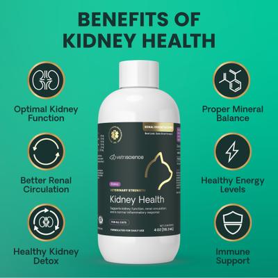 Veterinary Strength Kidney Health Renal Essentials Pro Creamy Chicken Flavored Liquid Kidney Supplement for Cats, 4-fl oz bottle