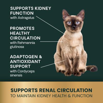 Veterinary Strength Kidney Health Renal Essentials Pro Creamy Chicken Flavored Liquid Kidney Supplement for Cats, 4-fl oz bottle