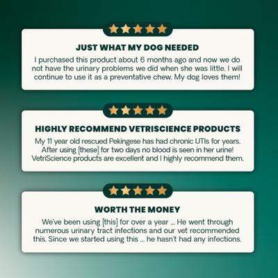 Veterinary Strength UT Health Chicken Flavored Chews UT Strength Pro Bladder & Urinary Tract Supplement for Dogs, 60 count