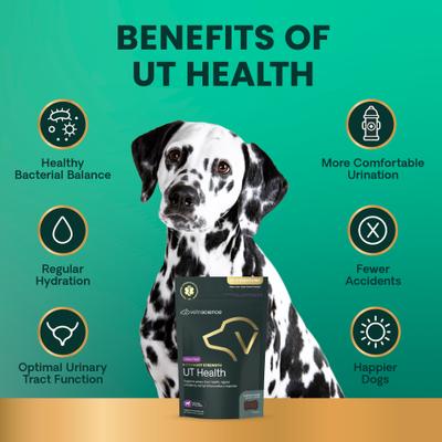 Veterinary Strength UT Health Chicken Flavored Chews UT Strength Pro Bladder & Urinary Tract Supplement for Dogs, 60 count