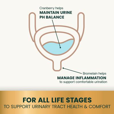 Veterinary Strength UT Health Chicken Flavored Chews UT Strength Pro Bladder & Urinary Tract Supplement for Dogs, 60 count