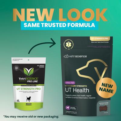 Veterinary Strength UT Health Chicken Flavored Chews UT Strength Pro Bladder & Urinary Tract Supplement for Dogs, 60 count