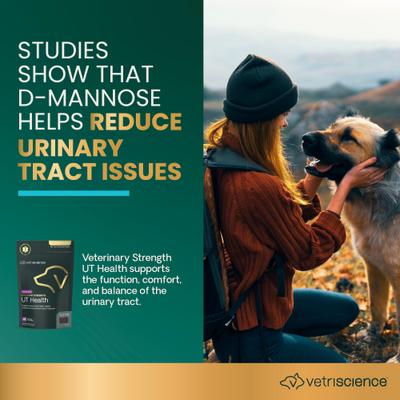 Veterinary Strength UT Health Chicken Flavored Chews UT Strength Pro Bladder & Urinary Tract Supplement for Dogs, 60 count