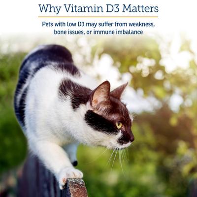 Rx D3 Pure Cholecalciferol Vitamin Liquid Supplement for Dogs & Cats, 2-fl oz bottle