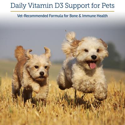 Rx D3 Pure Cholecalciferol Vitamin Liquid Supplement for Dogs & Cats, 2-fl oz bottle