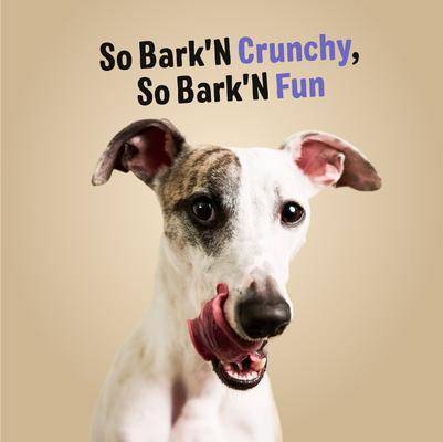 Bark'N Crunch! Chicken Chips Cheese Flavor Dehydrated Dog Treats, 4-oz bag