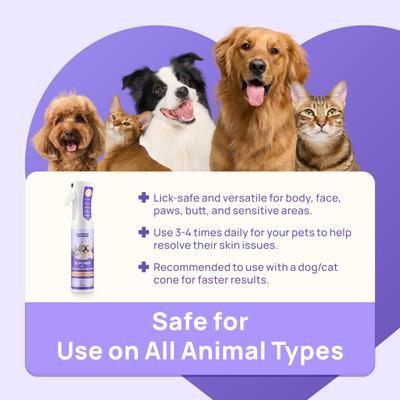 2X Power Wound & Antimicrobial Cat & Dog Skin Treatment Spray, 10.1-fl oz bottle