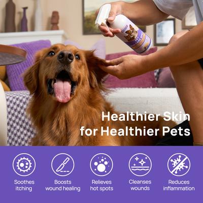 Skin Care Relief Cat & Dog Spray, 16-fl oz bottle