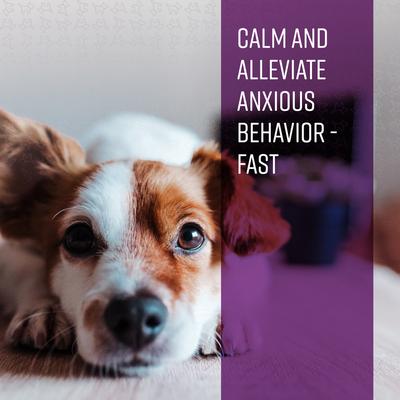 Good Behavior Calming Ointment for Dogs