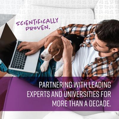 Good Behavior Calming Collar for Dogs, up to 23-in neck, 3 count