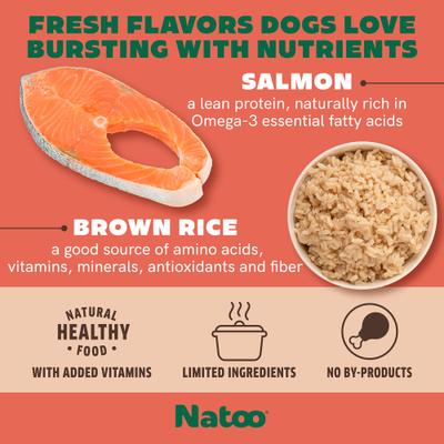 Salmon with Brown Rice Limited Ingredient Dog Food Topper, 3-oz pouch, case of 20