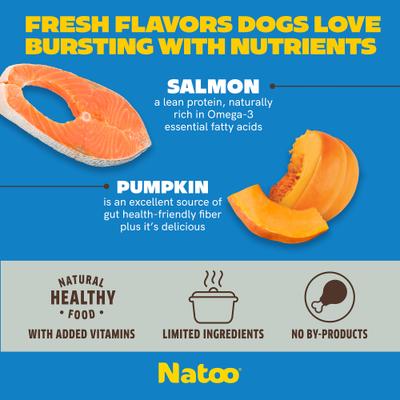 Salmon with Pumpkin Limited Ingredient Dog Food Topper, 3-oz pouch, case of 20