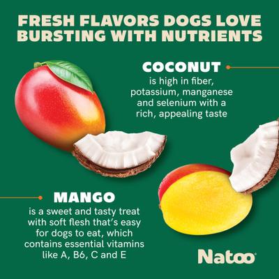 BIG BITE Coconut & Mango Crunchy Biscuit Dog Treats, 8-oz bag