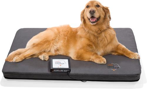 Loop Lounge tPEMF Dog & Cat System, Small