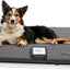 Loop Lounge tPEMF Dog & Cat System, Small