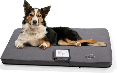 Loop Lounge tPEMF Dog & Cat System, Small