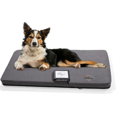 Sistema Loop Lounge tPEMF para perros y gatos, tamaño mediano