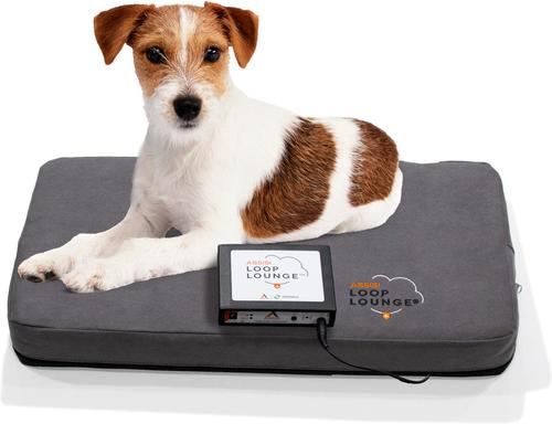 Loop Lounge tPEMF Dog & Cat System, Small