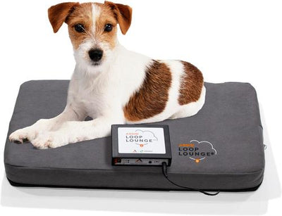 Loop Lounge tPEMF Dog & Cat System, Small