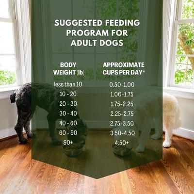 Pork Flavor Dry Dog Food, 40-lb bag