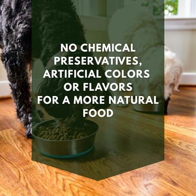 Pork Flavor Dry Dog Food, 40-lb bag