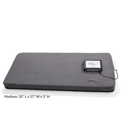 Sistema Loop Lounge tPEMF para perros y gatos, tamaño mediano