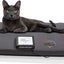 Loop Lounge tPEMF Dog & Cat System, Small