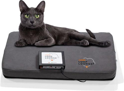 Sistema Loop Lounge tPEMF para perros y gatos, tamaño pequeño