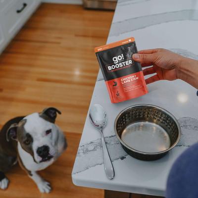 Booster Digestive Health Chicken & Lamb Stew Wet Dog Food, 2.8-oz pouch, 12 count
