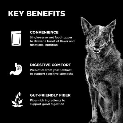 Booster Digestive Health Chicken & Lamb Stew Wet Dog Food, 2.8-oz pouch, 12 count