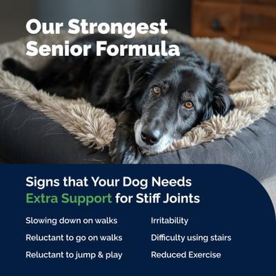 YuMOVE Chewable Tablet Senior Hip & Joint Maximum Strength Supplement for Dogs, 120 count