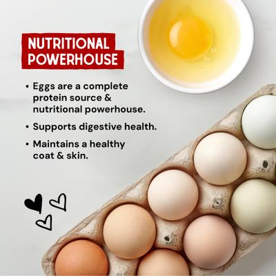 Marie's Magical Breakfast Sprinkles - Alimento para perros sin cereales con receta de tocino crudo liofilizado, huevo y queso (7 oz)