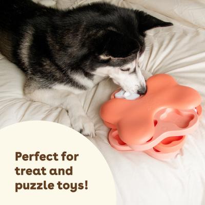 Cheddar Cheese Limited-Ingredient-Diet Adult Freeze-Dried Training Dog Treats, 3-oz bag