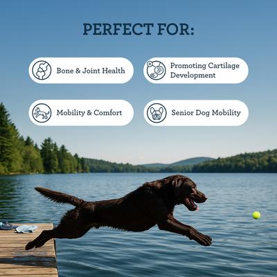 Hip & Joint Beef Flavored Chew Supplement for Dogs, 75 count