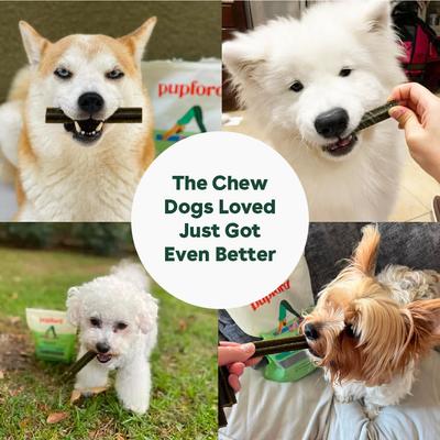 Mint Flavored Dental Dog Treats, 14 count