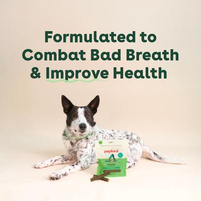 Mint Flavored Dental Dog Treats, 14 count