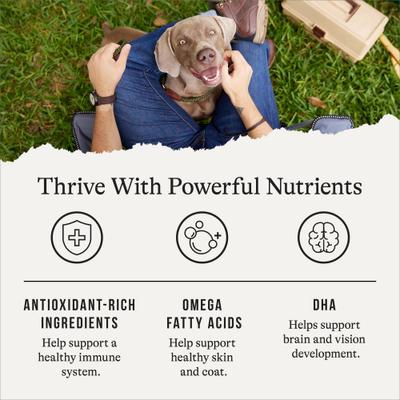 Grain-Free with Salmon, Whitefish & Trout Dry Dog Food, 48-lb bundle