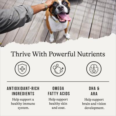 Protein & Grains Large Breed Puppy Chicken, Brown Rice & Vegetables Recipe Dry Dog Food, 56-lb bundle