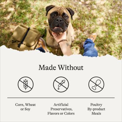 Protein & Grains Large Breed Salmon, Brown Rice & Vegetables Recipe Dry Dog Food, 56-lb bundle