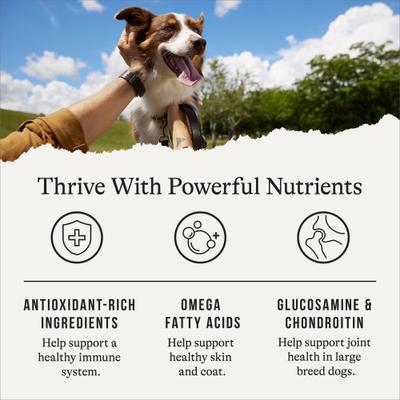 Protein & Grains Large Breed Salmon, Brown Rice & Vegetables Recipe Dry Dog Food, 56-lb bundle