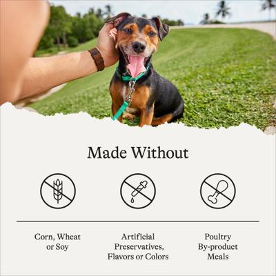 Protein & Grains Small Breed Chicken, Brown Rice & Vegetables Recipe Adult Dry Dog Food, 28-lb bundle