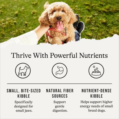 Protein & Grains Small Breed Chicken, Brown Rice & Vegetables Recipe Adult Dry Dog Food, 28-lb bundle
