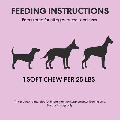 Probiotic Duck Flavored Soft Chew Gut Health & Digestion Aid Supplement for Dogs, 60 count