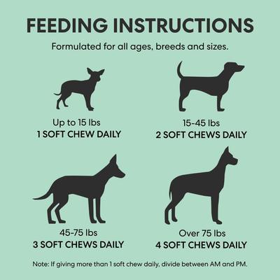 Mobility Duck Flavored Soft Chew Hip & Joint Supplement with Glucosamine for Dogs, 60 count