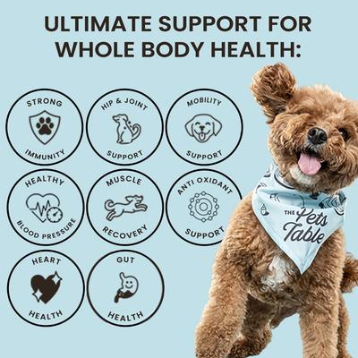 8-in-1 Chicken Flavored All in One Wellness Soft Chew Vitamin Supplement for Dogs, 50 count