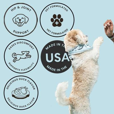 Mobility Duck Flavored Soft Chew Hip & Joint Supplement with Glucosamine for Dogs, 60 count