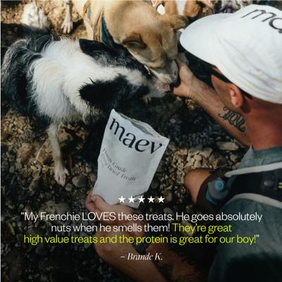 Human-Grade Beef Liver Freeze-Dried Raw Dog Treats, 4.4-oz bag